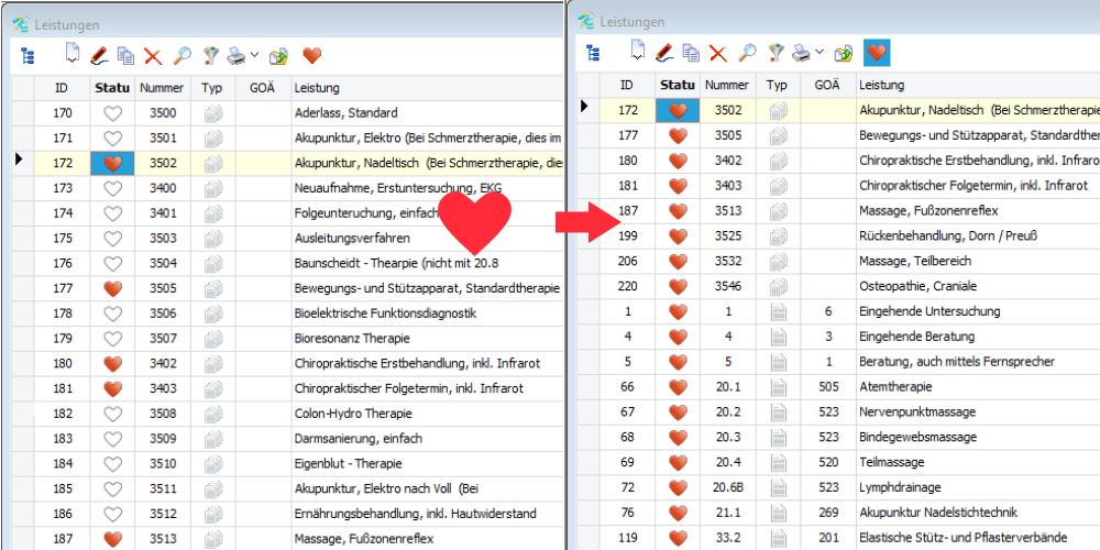 Kleine Vorschau auf Heilpraxis 1.7.1